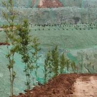 綿陽推進涉礦生態環境問題綜合整治,近一年實地檢查礦山超100座