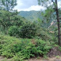 2礦同出！260萬(wàn)方/年！廣東砂石大礦掛牌出讓